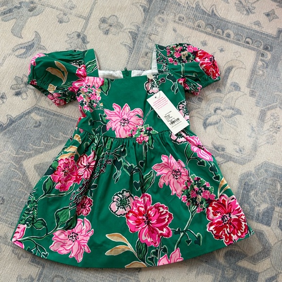 Lilly Pulitzer Other - Lilly Pulitzer dress